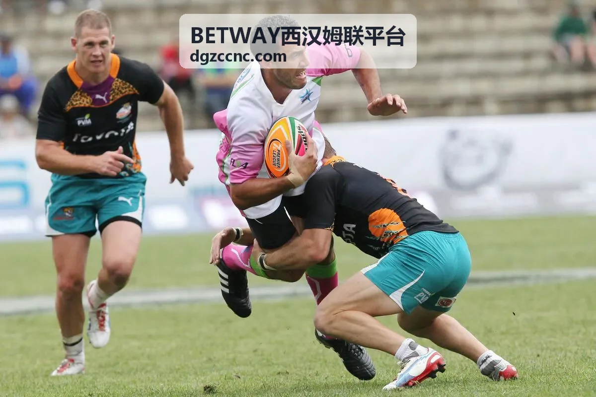 BETWAY安全交易界面