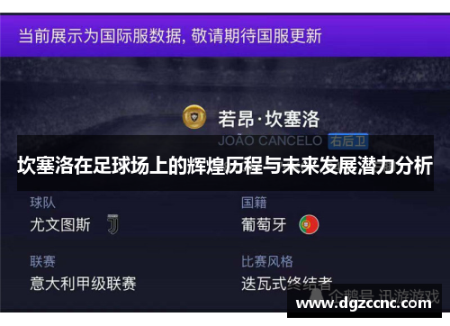 坎塞洛在足球场上的辉煌历程与未来发展潜力分析